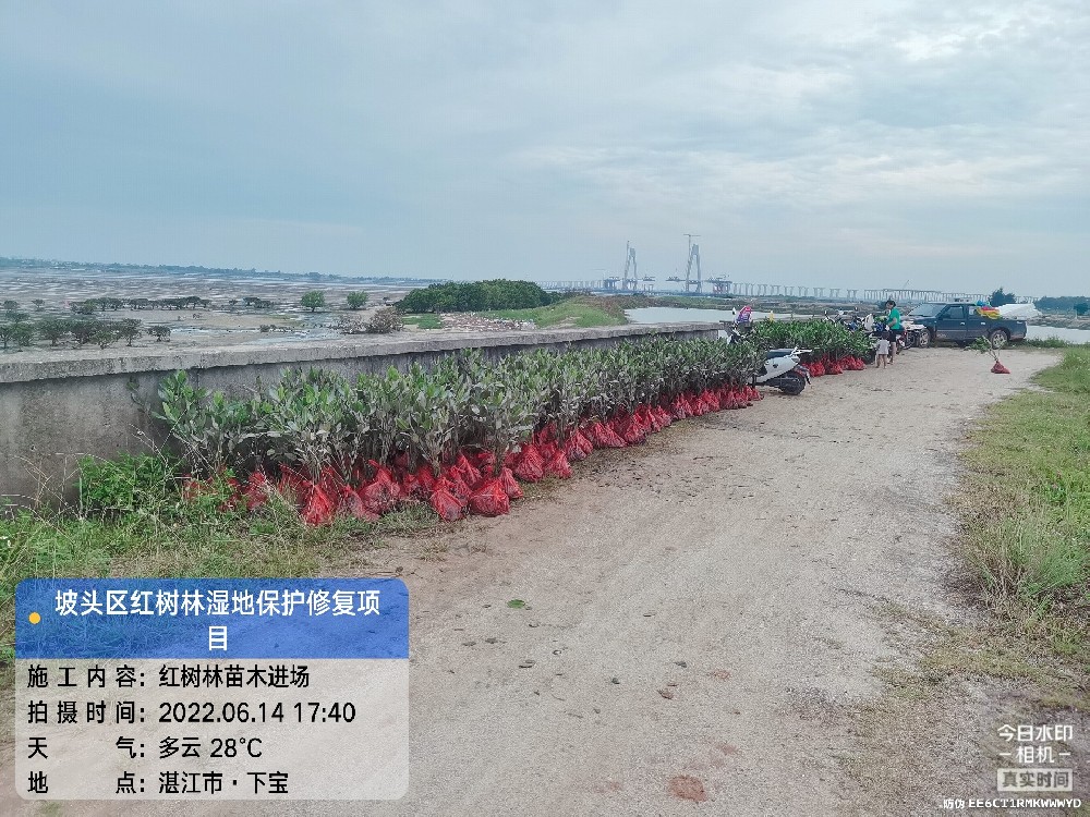 工程案例一