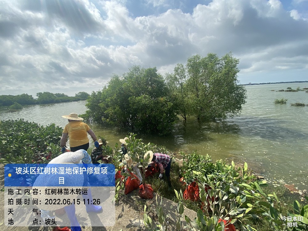 工程案例二