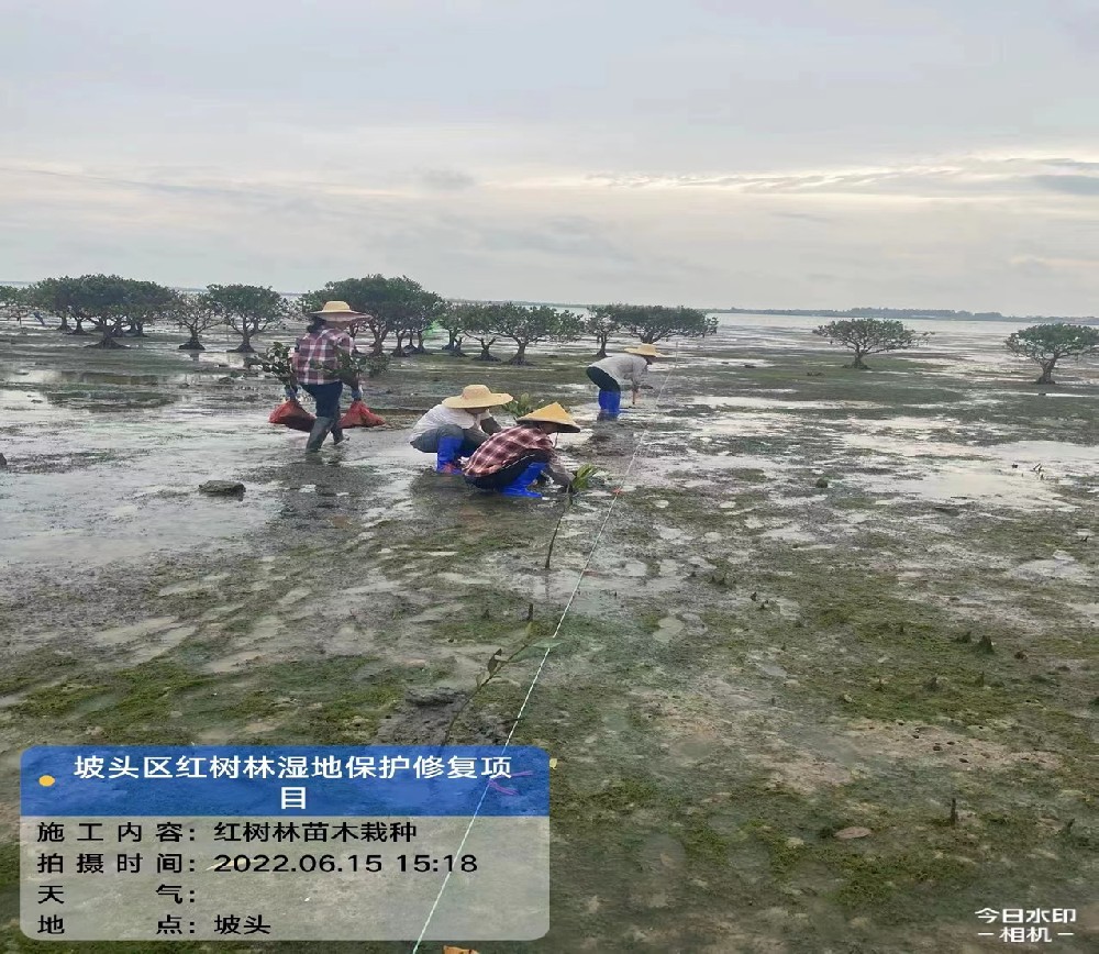 工程案例三